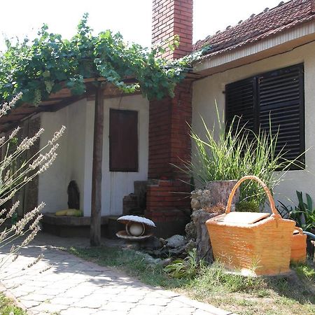 דירות נגוטין Przic House מראה חיצוני תמונה