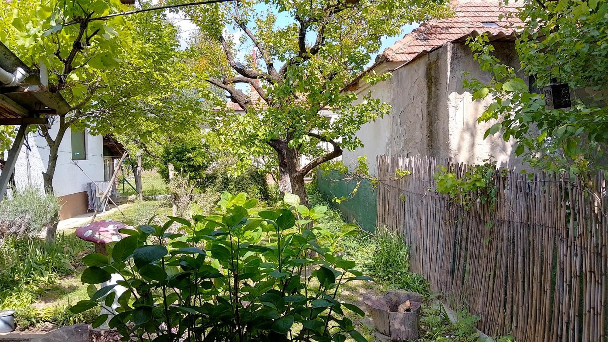 דירות נגוטין Przic House מראה חיצוני תמונה