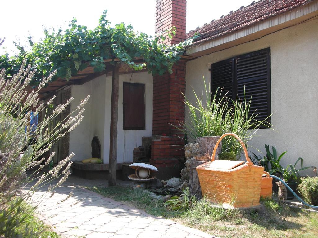 דירות נגוטין Przic House מראה חיצוני תמונה