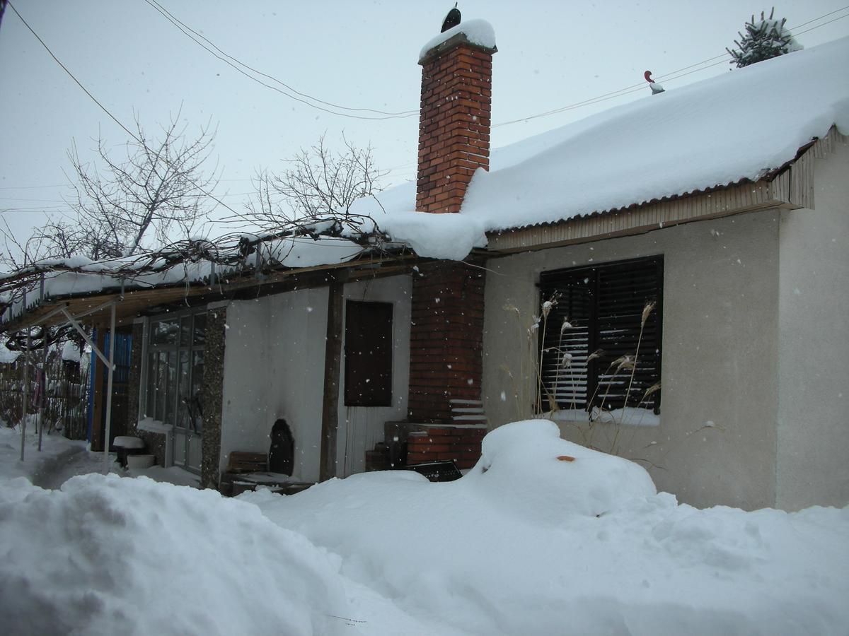 דירות נגוטין Przic House מראה חיצוני תמונה