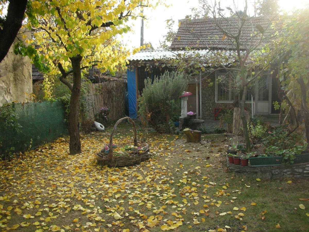 דירות נגוטין Przic House מראה חיצוני תמונה